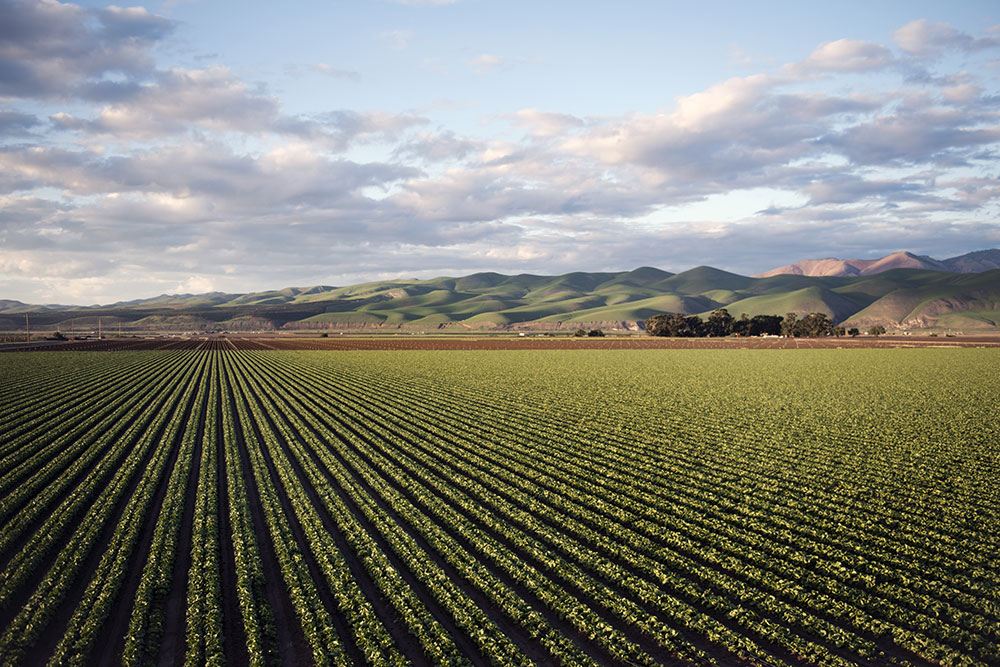 agrario-campo-bmac